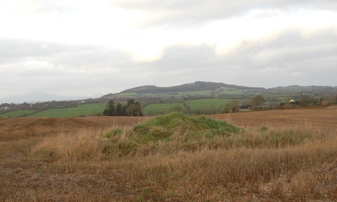 Cillín mound looking northwest