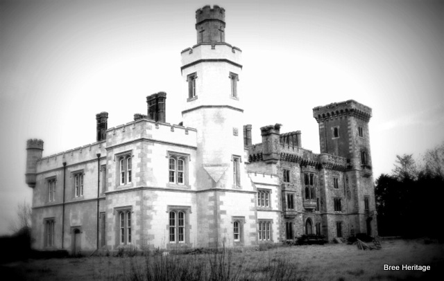 Wilton Castle Wexford