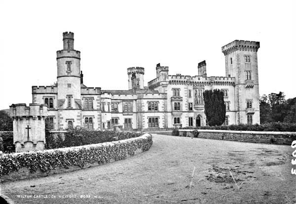 Wilton-Castle-Bree-1