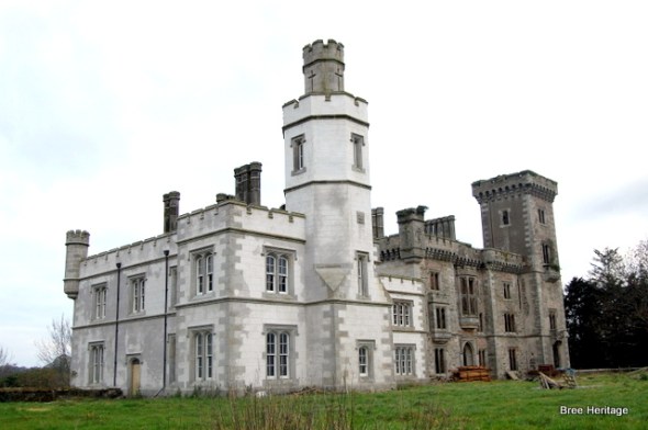 Wilton castle, bree, wexford