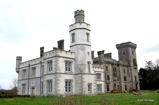 Wilton castle, bree, wexford
